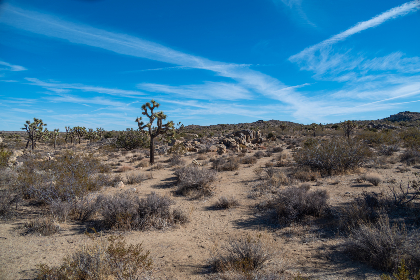 蜜芽TV无码亚洲资源网
