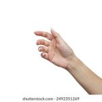 柠檬福利第一导航在线 1mqppm7rve