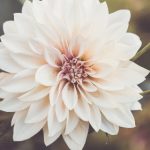 99re热在这里只有精品首页 5p3bso