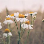 午夜成熟看A级毛片 6hh39qxv2