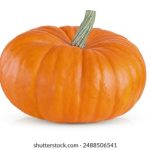 天天噜天天摸天天看 6o6mhm0