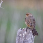 天天影视色香欲综合网 6ojs23w