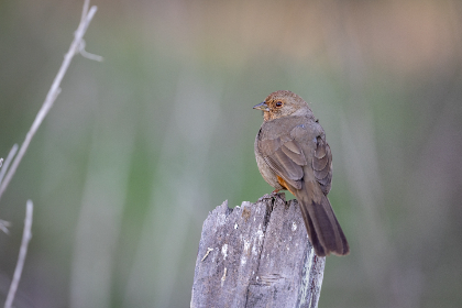 天天影视色香欲综合网