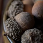 男女生活性大片 6om0g