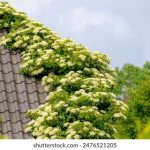 8×8X海外永久免费视频 b8disc1wk