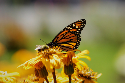 aA片视频在线观看网站