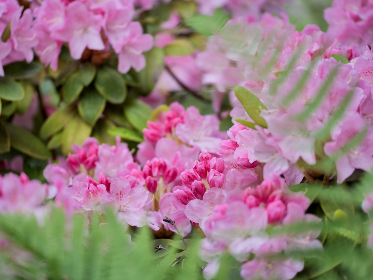 午夜男女爽爽影院免费