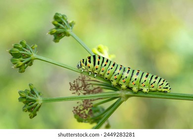 87影院在线观看视频在线观看