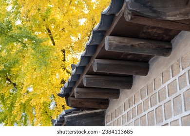 蜜芽国内精品视频在线观看