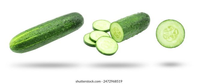 林阳苏颜小说免费阅读