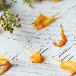 播五月色五月开心五月网 wvb801