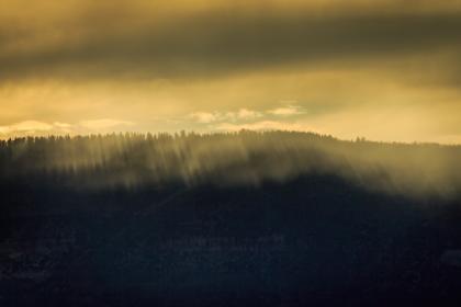 天天天天添天天拍天天谢