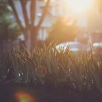 99这里只有精品视频免费 ykk38