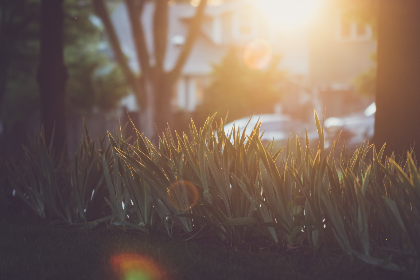 99这里只有精品视频免费