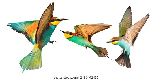 不卡影院在线观看：畅享高清影视，随时随地尽情观影！