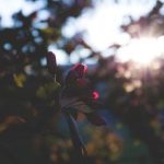 免费下载高质量JVID图片,畅享视觉盛宴 gmqgz918x3