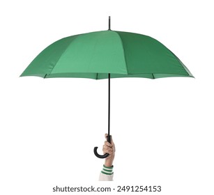 唐诗宋词导航 漫画：探索古典诗词之美的趣味之旅