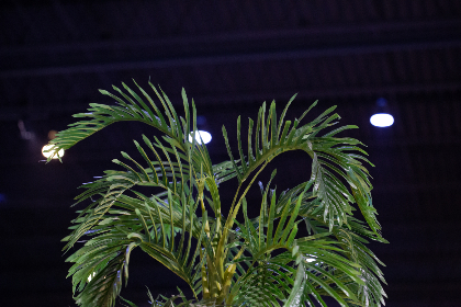 V6导航：提升出行体验的智能导航系统解析