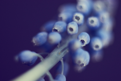 下载抖音视频：轻松获取你喜欢的短视频分享技巧