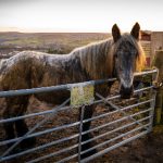 全面解析黑料综合专区:揭秘背后的真相与故事 m8t2h