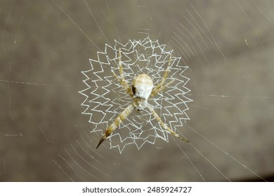 寄宿日记第83话最简单三个字：揭示友情与成长的深刻意义