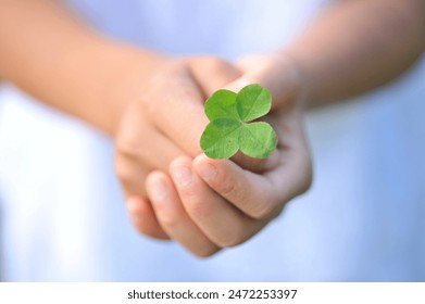 探索奈飞中文网电影网站：畅享全球影视盛宴