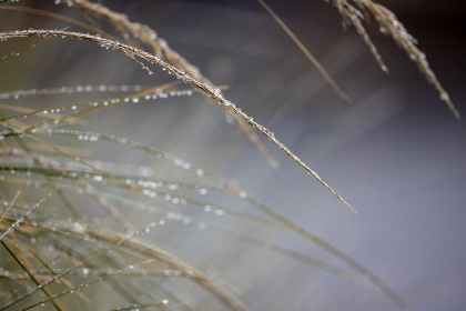 探索磁搜.com：开启全新搜索体验的门户