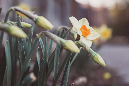 探索最新科技：全面了解TVBox官网及其功能