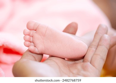 探索Kuaimao在GitHub上的开源项目与应用实例